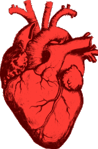 first heart operation