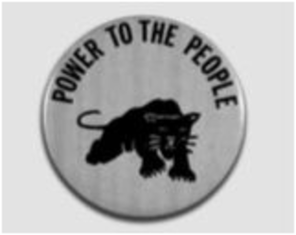 Black Panther Party Founded