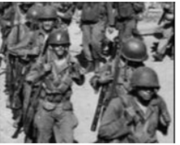 Executive Order 9981