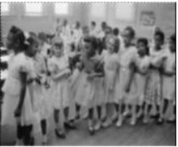 Brown V Board of Education Ruling