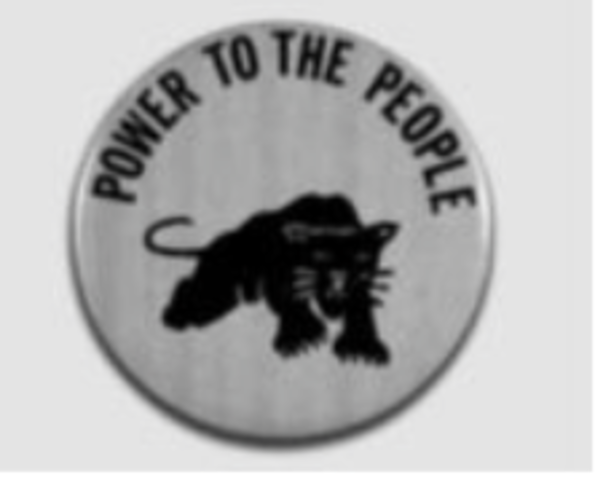 Black Panther Party Founded