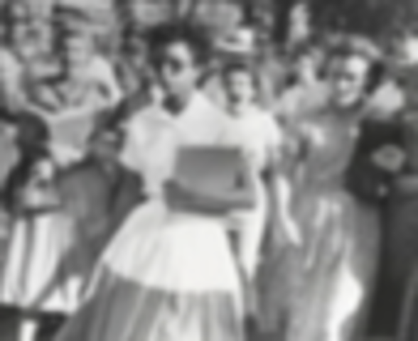 Integration of Central High School