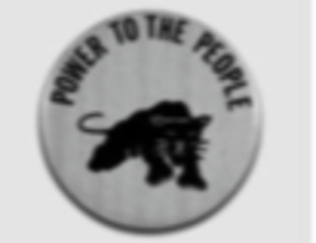 Black Panther Party Founded