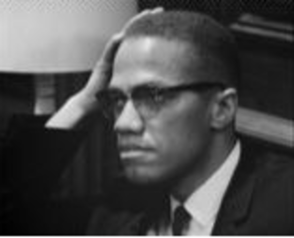 Advocates for Black Nationalism