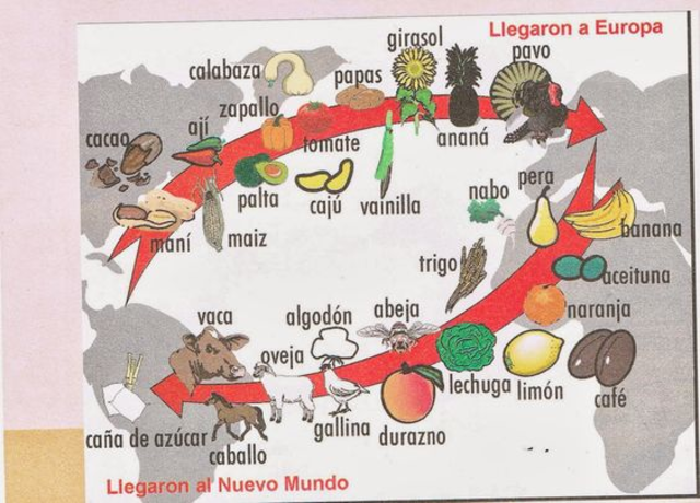 The good gastronomic discovery