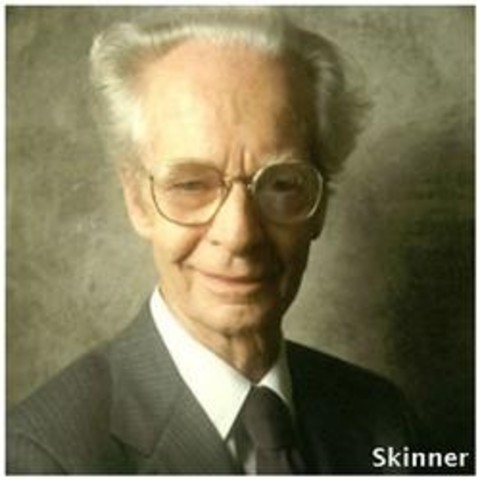 Chandler, Skinner, Burns; Teoría de la contingencia  (1.972)