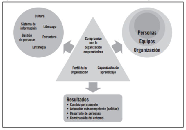 Según Tejedor y Aguirre