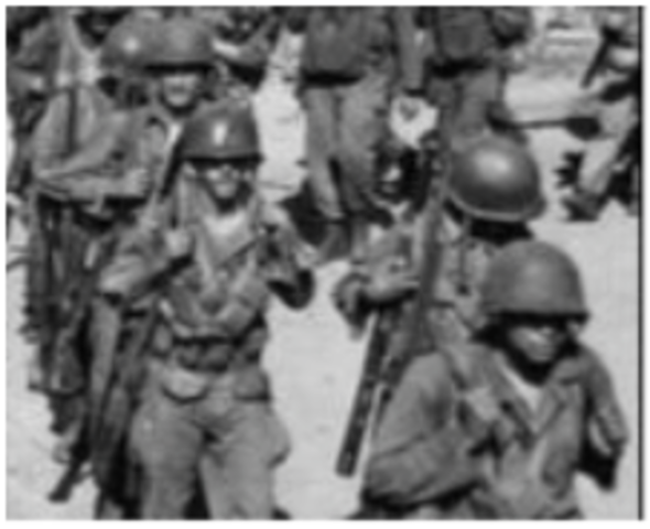 executive order 9981