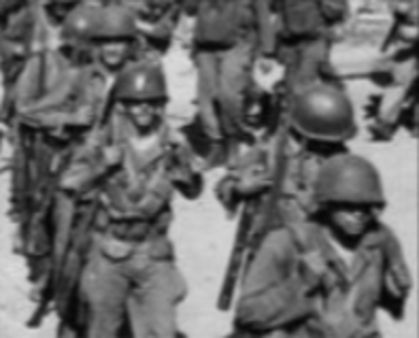 Executive Order 9981