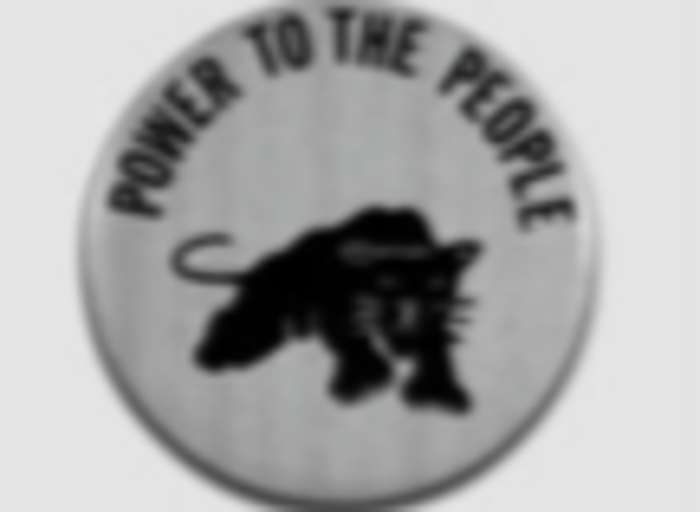 Black Panther Party Founded