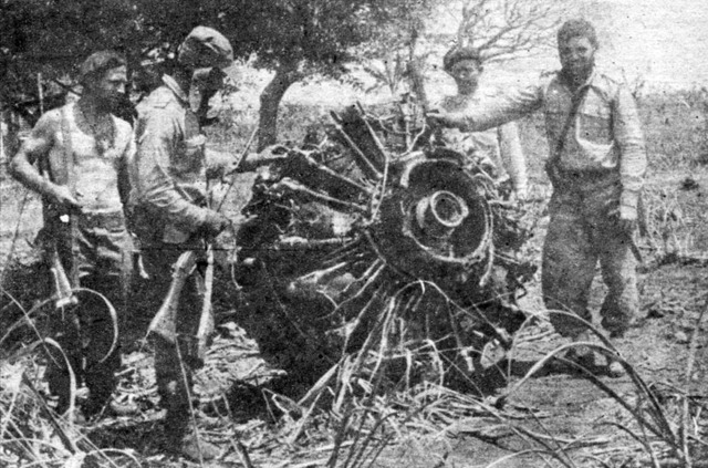 Bay of pigs invasion