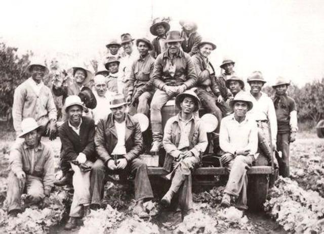 Second Wave of Filipino Immigrants