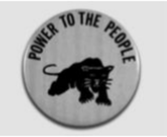 Black Panther Party Founded