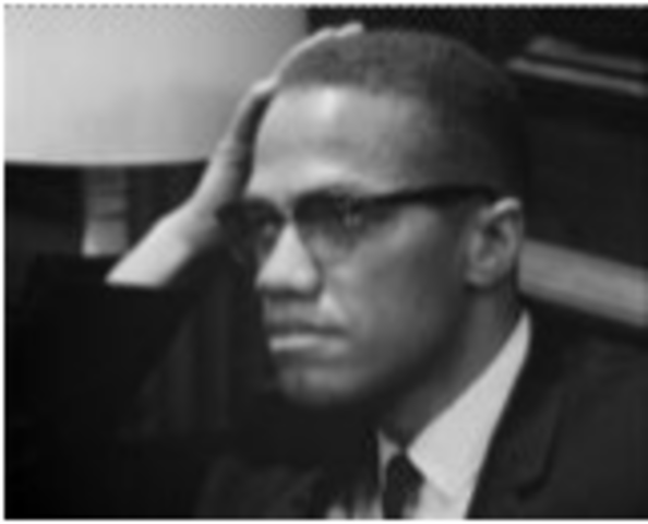 Advocates for Black Nationalism