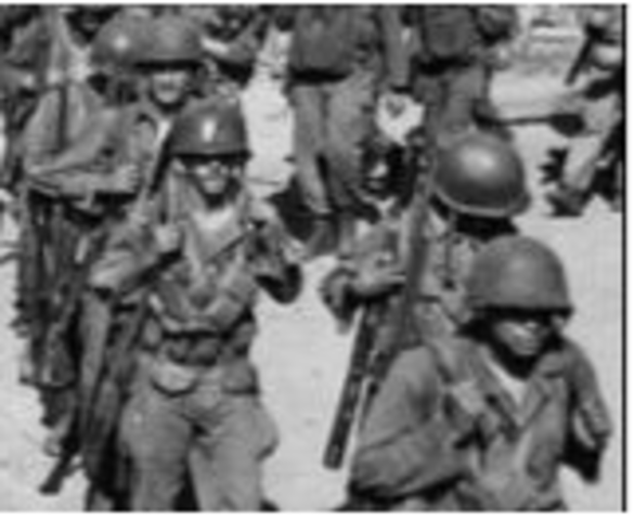 Executive Order 9981