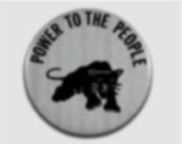Black Panther Party Founded