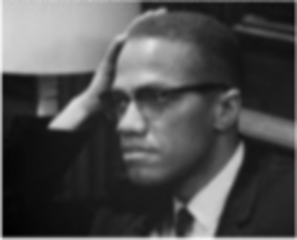 Advocates for Black Nationalism