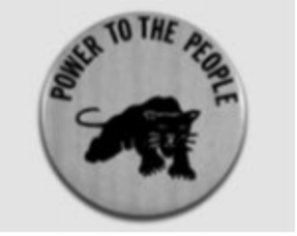 Black Panther Party Founded