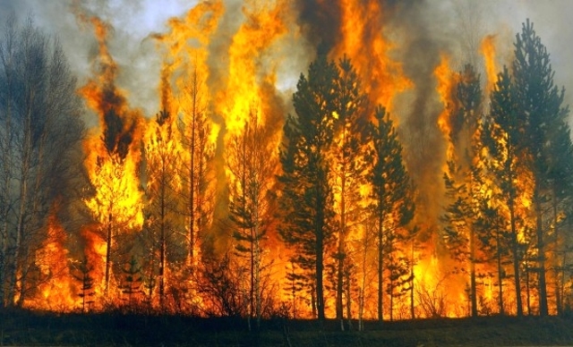 Great fires in Żory