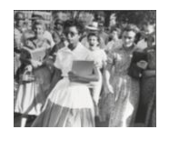 Integration of Central High School