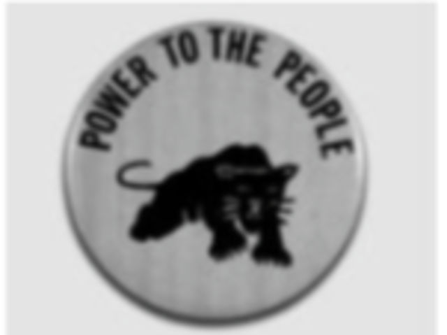 Black Panther Party Founded