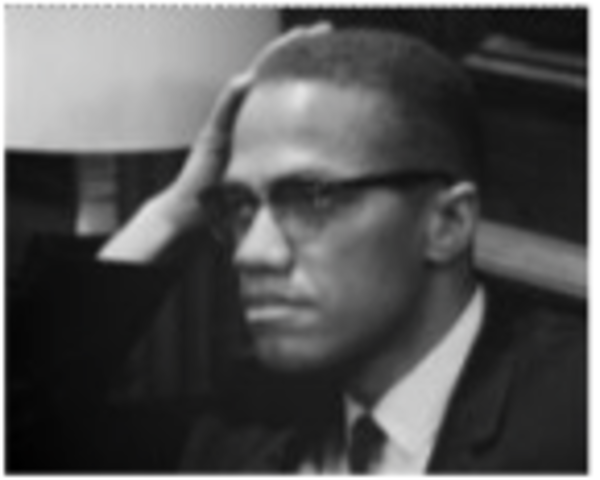 Advocates for Black Nationalism