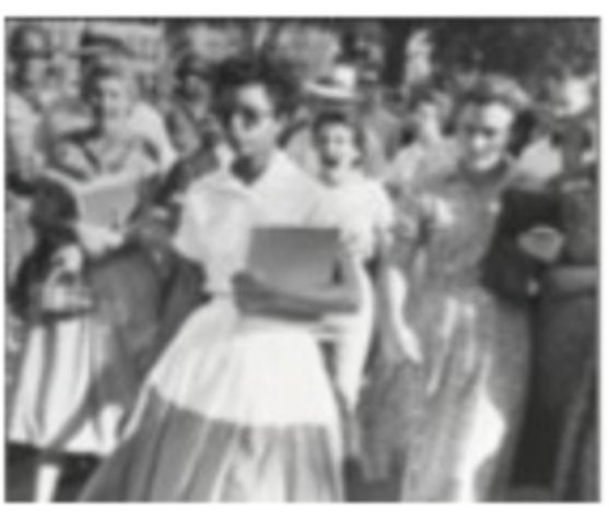 Integration of Central High School