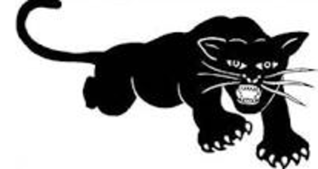 Black Panther Party Founded