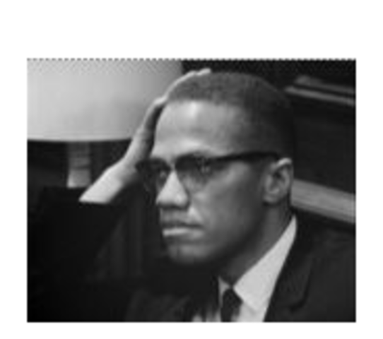 Advocates for Black Nationalism