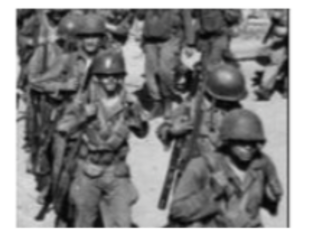 Executive Order 9981