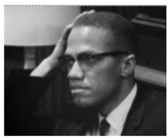 Advocates for Black Nationalism