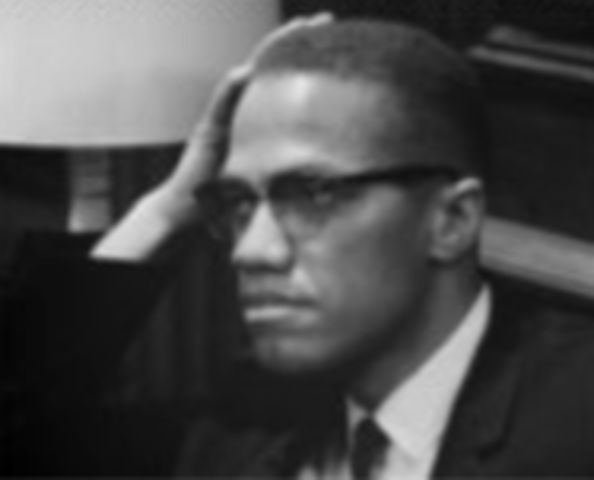 Advocates for Black Nationalism