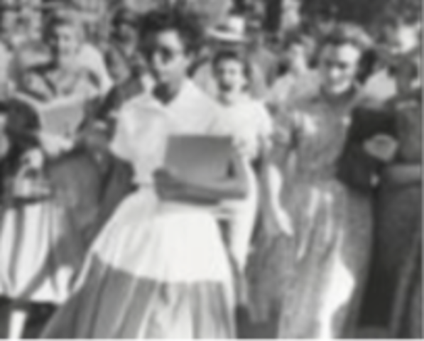 Integration of Central High School