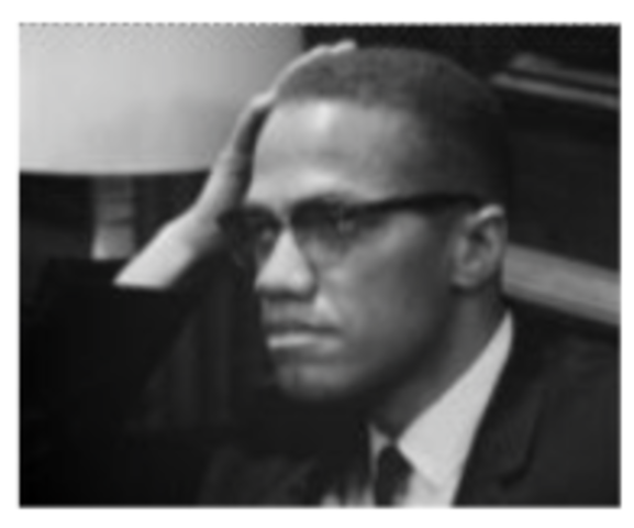 Advocates for Black Nationalism