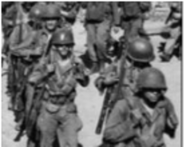 Executive Order 9981