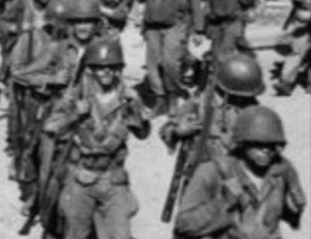 Executive Order 9981