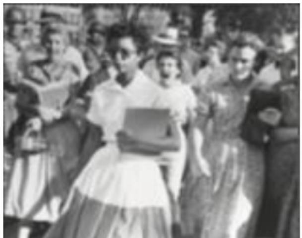 integration of of central high school