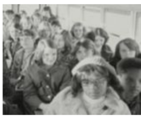 brown Vs board of education