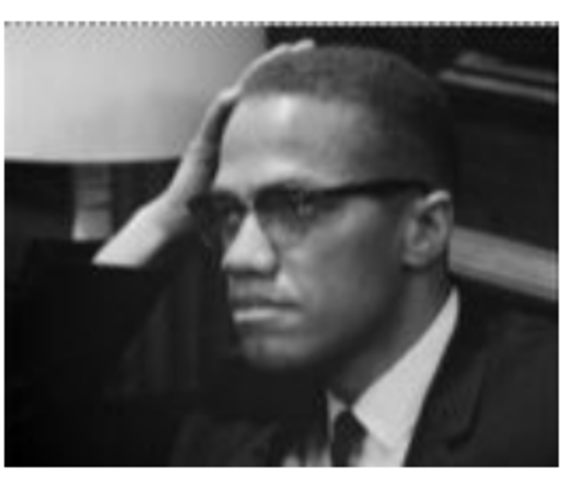 advocates for  black nationalism