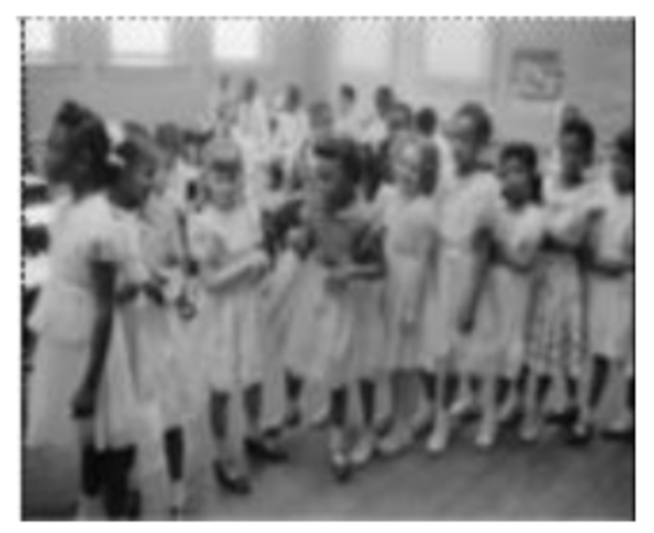 Swann V. charlotte - Mecklenberg board of education