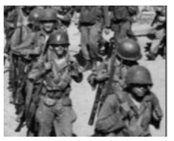 executive order 9981