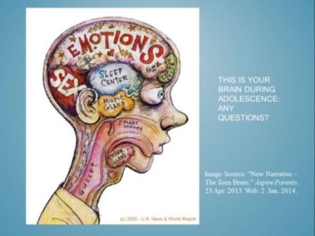 Adolescent  (13-22 ans)