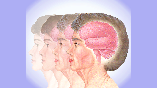 Vieillesse (60 ans-)