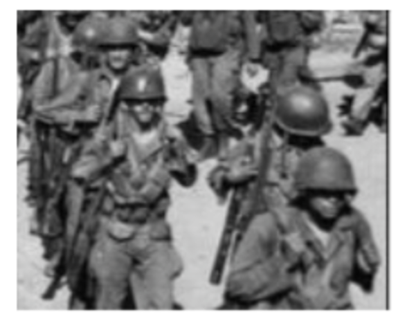 Executive Order 9981