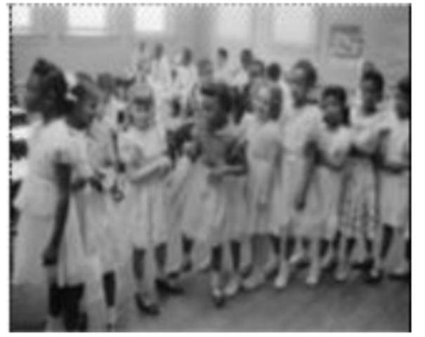 Brown v. Board of Education Ruling