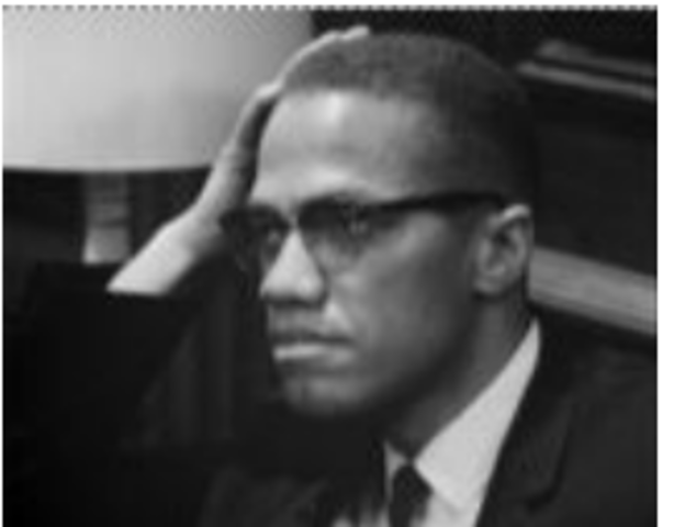 Advocates for Black Nationalism