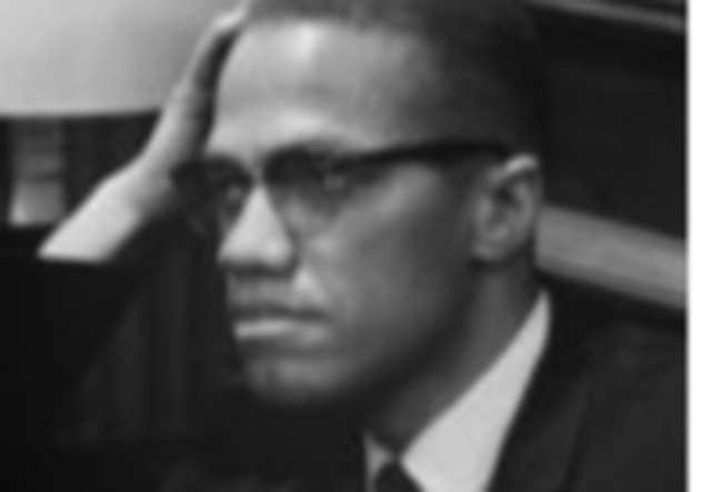 Advocates for Black Nationalism