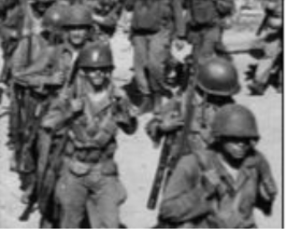 Black panter party founded