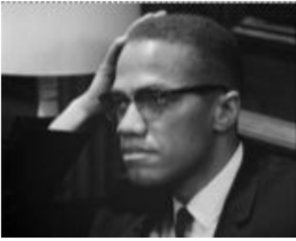 Advocates for Black Nationalism