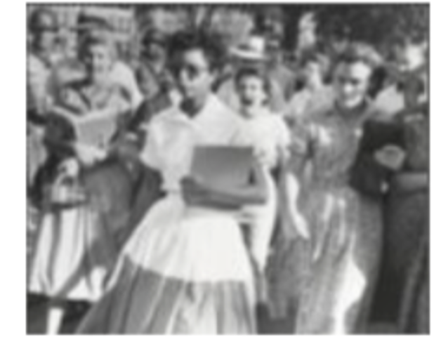 Integration of Central High School